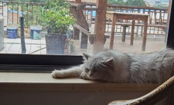 Xi'an Residence bustling characteristic homestay