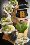 Ryugu Hotel Hotels in Nishio