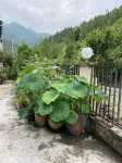 Wenxian Yujiawan Hotel Hotels near Bikou Reservoir