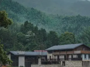 奉新的熱門精品民宿