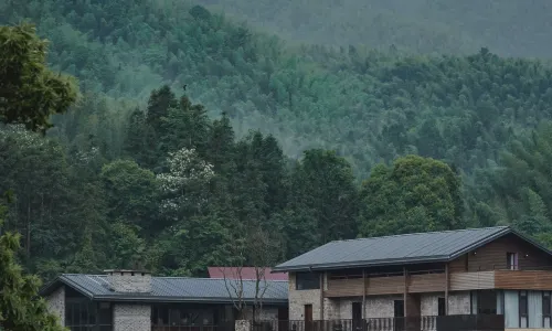 The village head Fang Ruogu mountain house