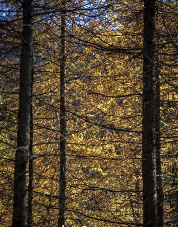 Haina Baichuan Homestay Отели рядом с достопримечательностью «Liuba Old Street»
