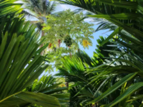 Sanya Nanshan North Yard Minsu (Nanshansi Branch) Hotels near Sanya Nanshan Cultural Tourism Zone