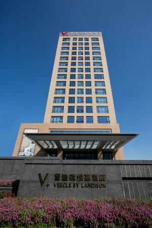 VEEGLE BY LANDISON  HAIYAN