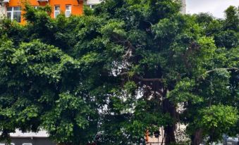 Shuiyunxuan Homestay