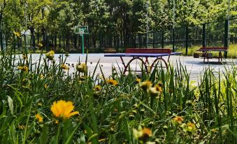Suzhou lake house apartment - Housity
