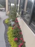 Southern Sichuan Bamboo Sea Zuizhuyuan Homestay