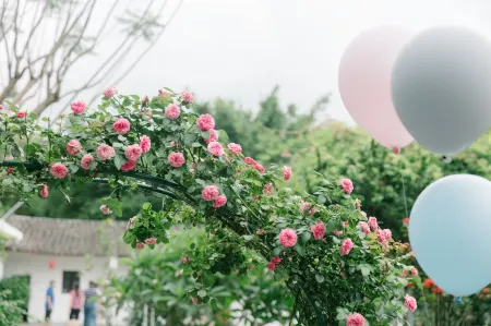 Xuantan Yuanshe Hotel Отели рядом с достопримечательностью «Xincun Gymnasium»