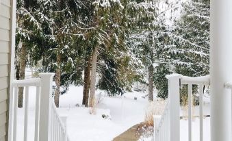 a snowy view of a staircase leading to a house , with snow - covered trees in the background at Copper Beech Inn