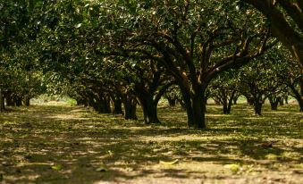 5. Countrys..