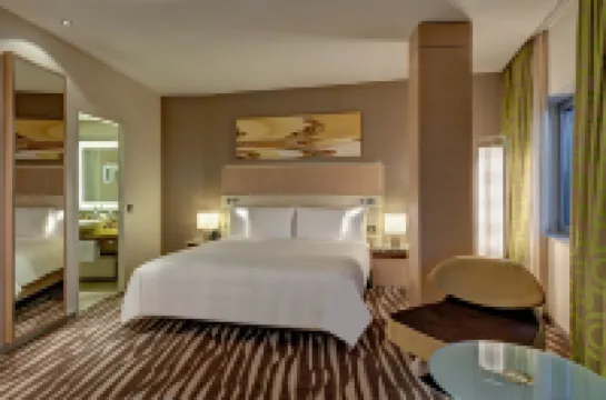 希爾頓法蘭克福機場酒店