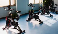 Minghua Hotel (Aksu Tianbai Fashion Shopping Center Xinglong Underground Street Branch) - Gym