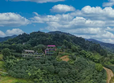 Taole Forest Hostel Hotels near Chongqing Ziran Bowuguan-Xi Square