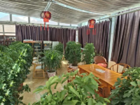 Ritu Xinsheng Hotel Hotels in Ritu