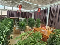 Ritu Xinsheng Hotel Hotels in Rutog