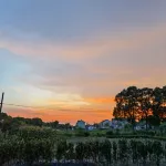 Shanghai COZY-Kushi Countryside Resort Homestay - Bergblick