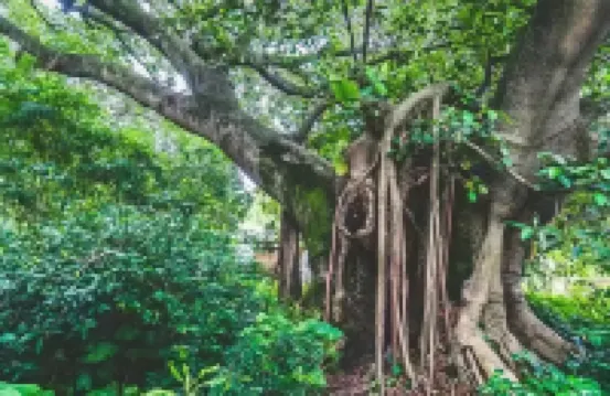 醉千年慢生活酒店