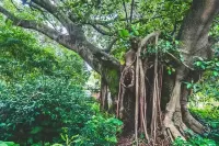 Timeless Slow Living Homestay