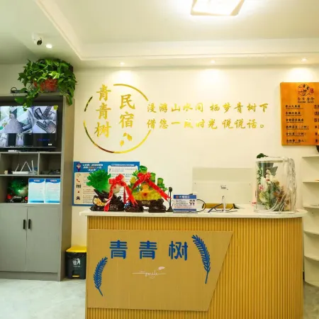 Badong Qingqingshu Homestay (Yesanguan Shunjing Xiandaicheng)