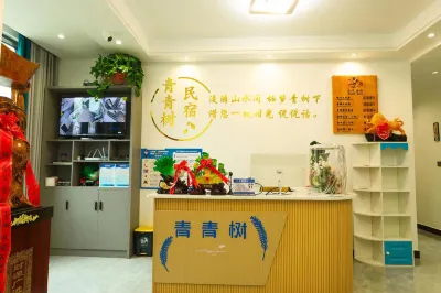 Badong Qingqingshu Homestay (Yesanguan Shunjing Xiandaicheng)