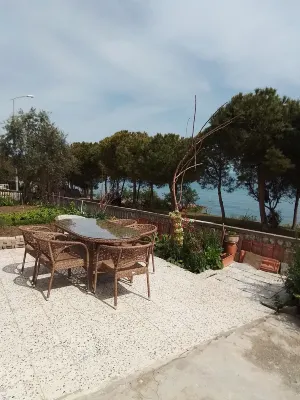 Seaside mansion with detached garden Hotels in Gerze