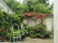 Jixi Jiapeng Youth Hostel Hotels in 