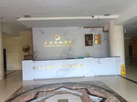 Shangpin Forest Hotel Отели в г. Хэцзиян