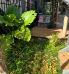Buzhi Homestay - Barer