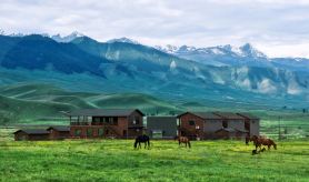 Nayu Youji · Wild Luxury Campsite