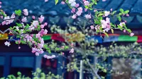 Floral Lux Hotel · Taimuting Hotel (Tongli)