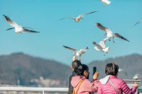 Floral Hotel·Kunming yunshangxuan hotel (Dianchi Haigeng Dam)