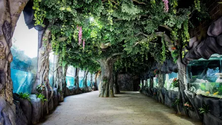 Changtai Dolphin Home (Tianzhushan Branch) Отели рядом с достопримечательностью «Xiaohuang Mountain Scenic Area»