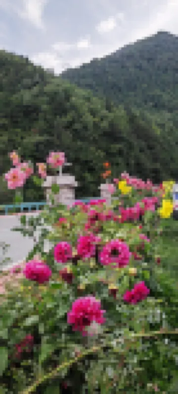 康定奔吧民宿 鄰近康定情歌(木格措)景區的酒店