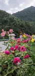 Kangding Benba Homestay
