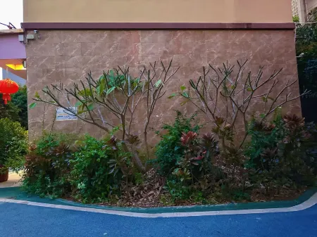 Yuanjiang Ruihong Hotel Отели в г. Юаньцзян