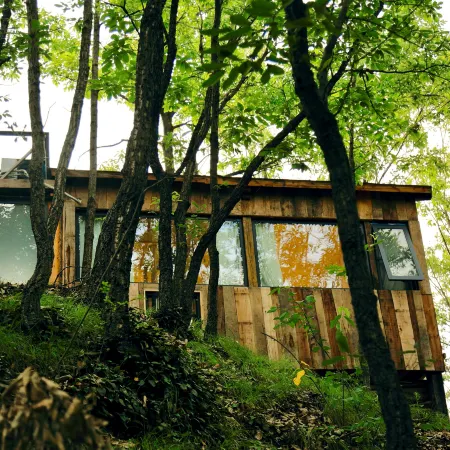 Moye Courtyard Homestay