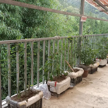 Nanjiang Xinyi Mountain Villa