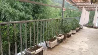 Nanjiang Xinyi Mountain Villa