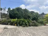Fuqing Honglv Guesthouse - Pet friendly