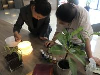 烟台丝柱鸾尾轻奢酒店 - 其他