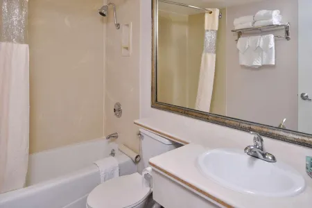 Best Western Airport Plaza Inn Hotel - Los Angeles LAX Отели рядом с достопримечательностью «Государственная зона отдыха Кеннет Хан»