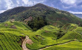 The Smokehouse Hotel & Restaurant Cameron Highlands