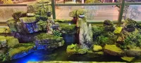 Fengdu Chongqing Zixuan Hotel - ห้องครัว