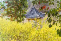 Taoyuan Rejia Hostel Các khách sạn ở Thập Yển