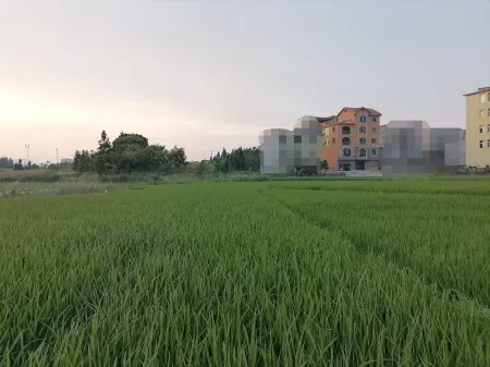 Chengdong Xiangshu · Xiwang Chinese Inn Отели в г. Жучэн