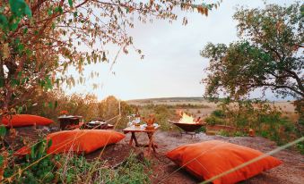 Mara Eden Safari Camp