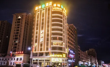 Forest Hotel Отели в г. Лепин