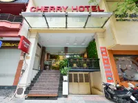 Cherry Central Hotel Hotels near Saigon Japan Town