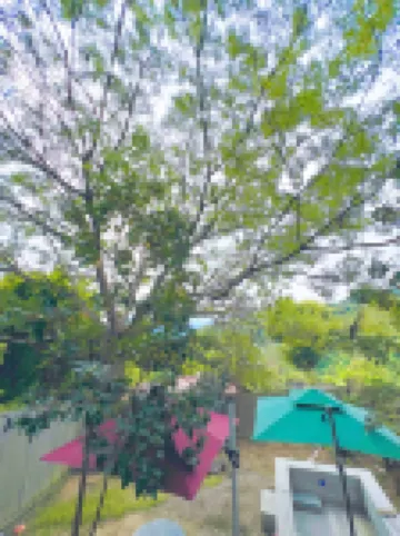 Guangzhou Star Dream Ark Hostel Hotels near Shimen National Park