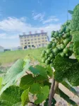 豐寧雲漫莊園（壩上草原大灘鎮店） - 2 星級